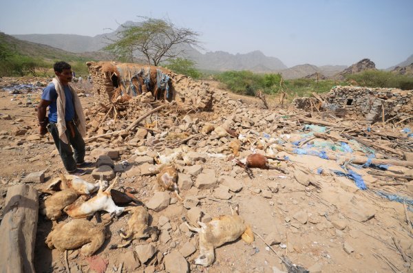 Jemen - siromašni pastir gleda stado ovaca ubijeno u saudijskom napadu