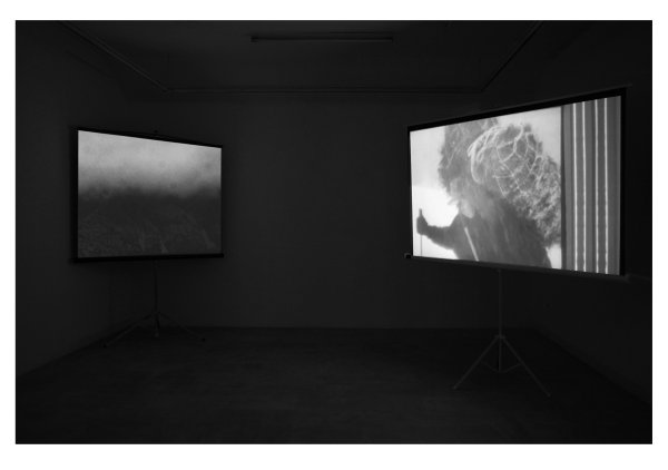 Davor Sanvincenti, Nedefinirana divljina