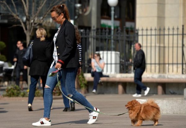 Iva Majoli prošetala kućnog ljubimca Cvjetnim trgom