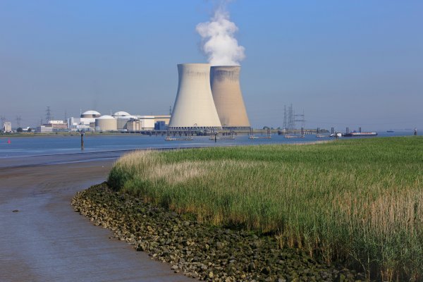 Biznis izgradnje nuklearnih reaktora CBS je 1999. prodao britanskoj tvrtki British Nuclear Fuels Limited 