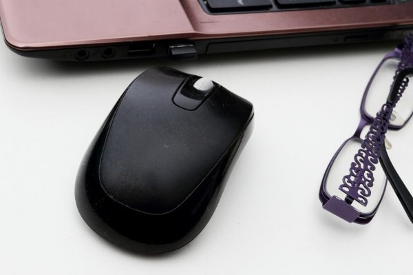Tipičan polsovni računalni miš kompaktnih dimenzija