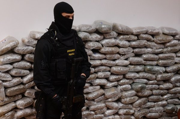 Zaplijena 800 kilograma marihuane (8)