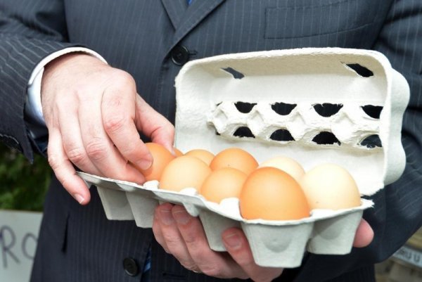 Slovenija godišnje proizvede oko 390 milijuna jaja čime zadovoljava domaće potrebe