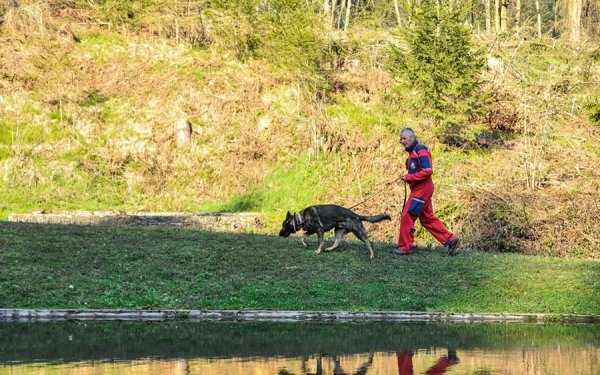 Trening pasa za HGSS (10)