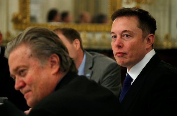 Steve Bannon, Elon Musk