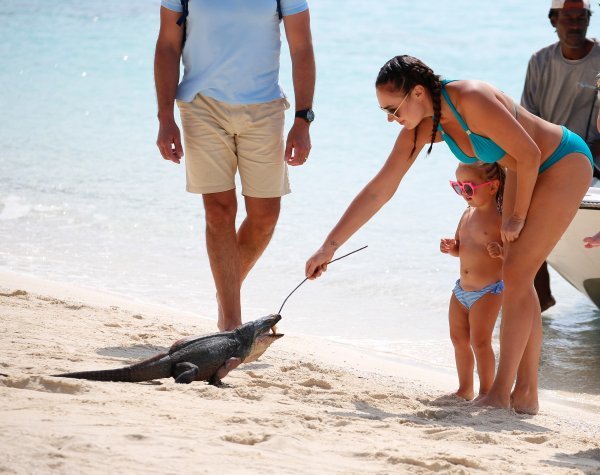 Tamara Ecclestone (1)