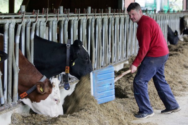 U obitelji Stjepana Vrhoveca već peta generacija bavi se proizvodnjom mlijeka