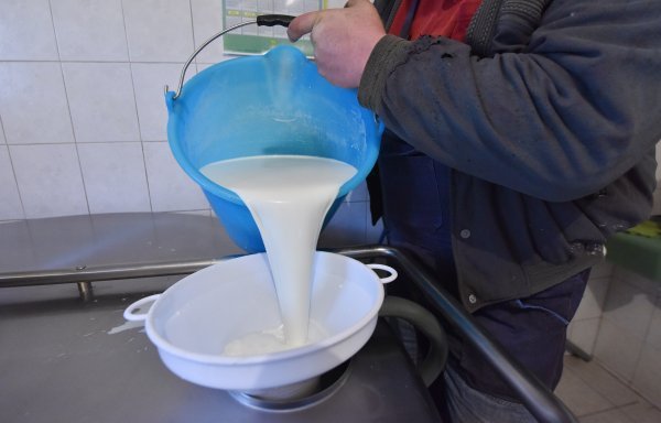 Potrošači sve više vjeruju samo onom mlijeku za koje se uvjere da se proizvodi na farmi