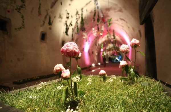 Cvjetarnik u tunelu Grič (1)