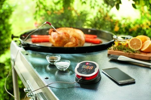 Weber iGrill 2 Thermometer