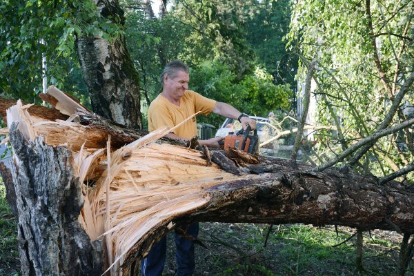 Olujni vjetar u Sisku i Popovači rušio stabla i prouzročio štetu