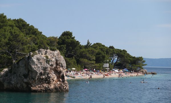 Berulia, Brela