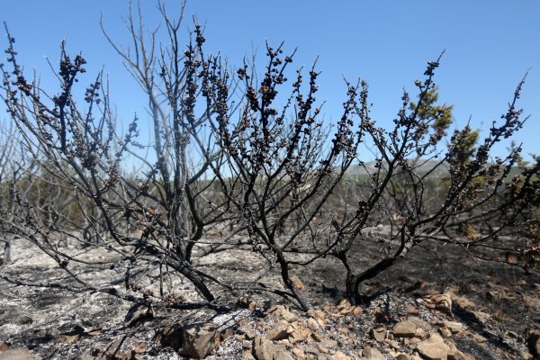 Perković nakon velikog požara