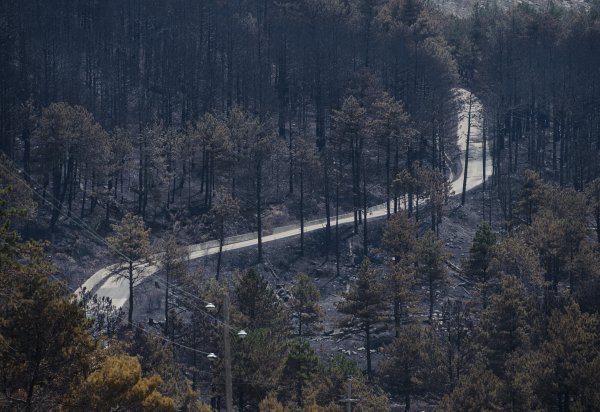 Spaljena zemlja na području Srinjine - Tugare