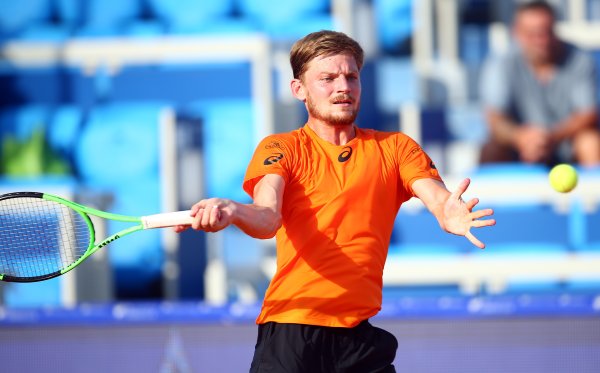 David Goffin (2)