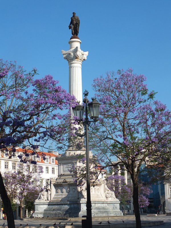 Spomenik Dom Pedru IV