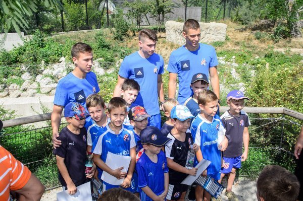 Druženje igrača Dinama s navijačima ispred nastambe lavova u ZOO-u (2)