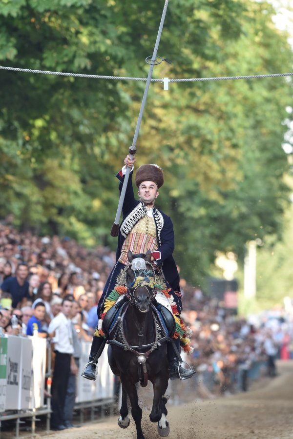 Slavodobitnik 302. Sinjske alke Alen Poljak