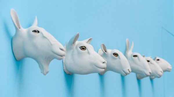 '5 ovaca i koza', Dido Crosby, izložak iz 2015.