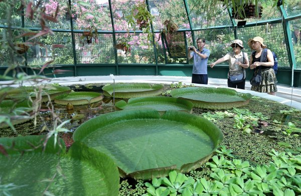 Botanički vrt u Zagrebu
