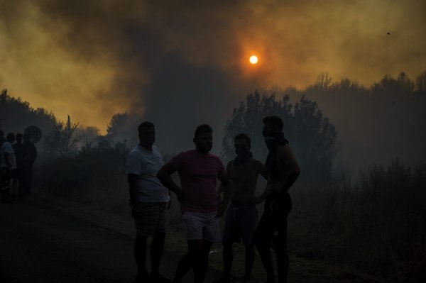 Požar kod Zatona i Rasline