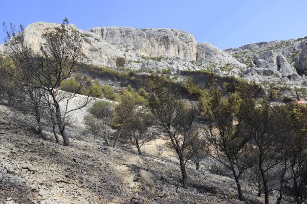 Prosječno 54 tisuće šumskih požara na području Mediterana godišnje je odnijelo prosječno 400.000 hektara raslinja