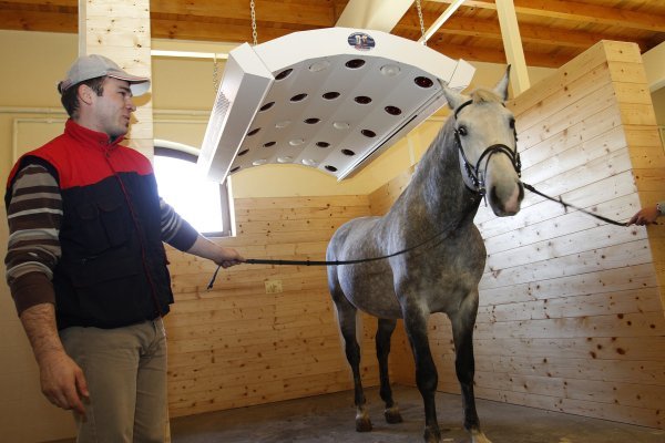 Konji imaju i solarij na Ergeli