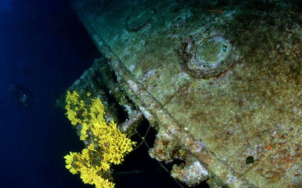 Ronjenje na olupini broda Brioni
