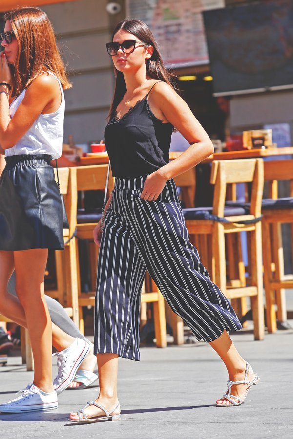 Zagrebačka špica (01)