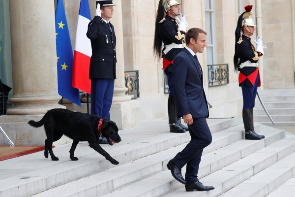 Macron i njegov pas Nemo