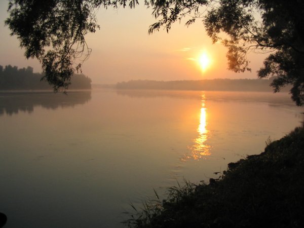 Drava