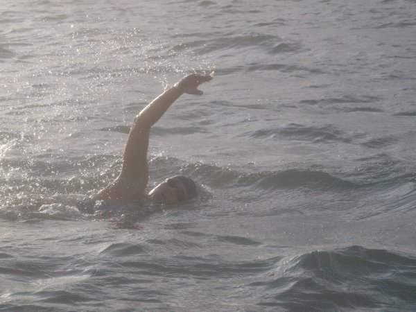 Dina Levačić