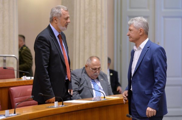 Branko Hrg, Ante Sanader