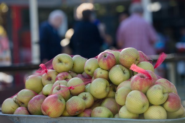 Prosječna cijena kilograma jabuka
