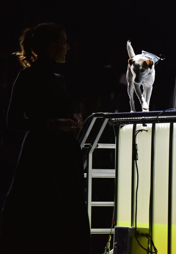 Premijera opere Kein Licht