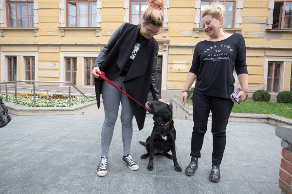 Filozofski fakultet u Osijeku prvi je 'pet friendly' u Hrvatskoj