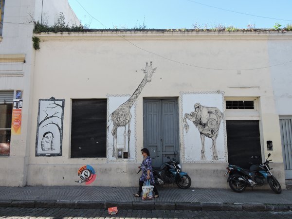 Argentinci zaista vole oslikvati i ispisivati zidove