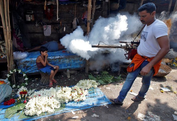 Borba protiv denga groznice u Kolkati