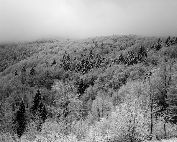 Borko Vukosav, Nekad bilo, 2017