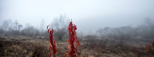 Marina Paulenka i Borko Vukosav, Prazno nebo, 2016