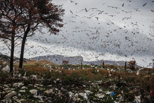 S odlagališta otpada Karepovac širi se nesnosan smrad