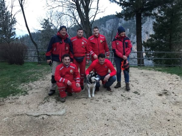 Spašavanje aljaškog malamuta