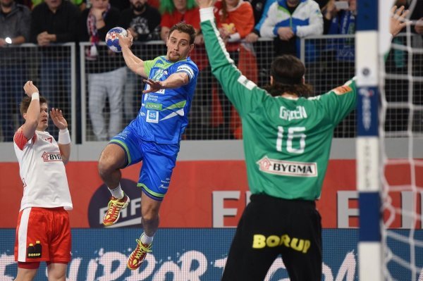 Darko Cingesar protiv Danske