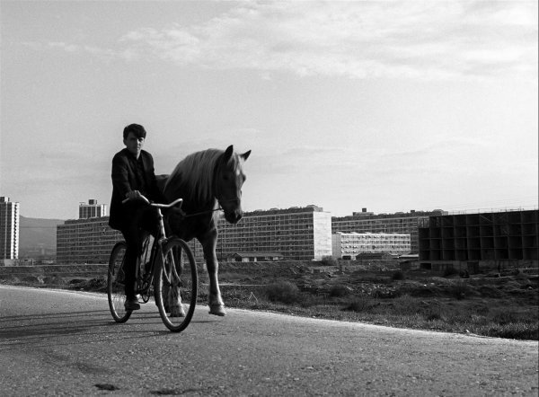 Dolazi novi grad, Slavka Pavić, 1960.