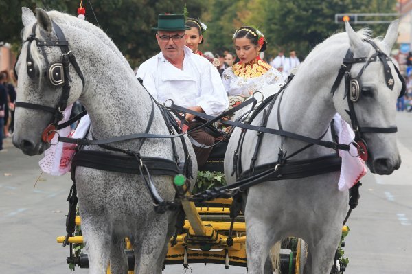 Vinkovačke jeseni 2017.