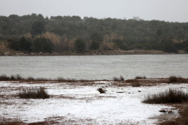Tisno: Zaleđeno more u uvali Ivinje
