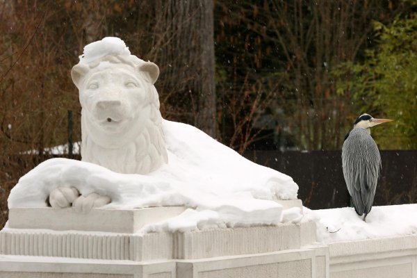 Zima u Zoološkom vrtu grada Zagreba