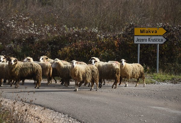 Obližnje jezero Kruščica nastalo je potapanjem istoimenog mjesta 1971. Mnogi stanovnici Mlakve, koja bi trebala biti potopljena zbog izgradnje novog jezera, djeca su onih koji su doseljeni upravo iz potopljene Kruščice