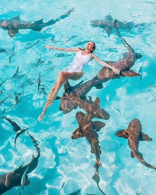 Sonja Kovač na krstarenju