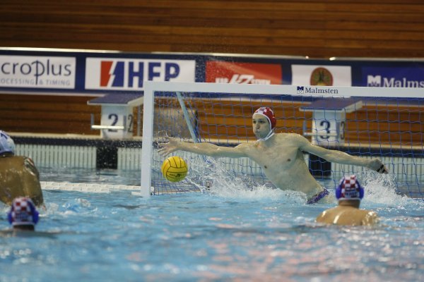 Hrvatska - Francuska